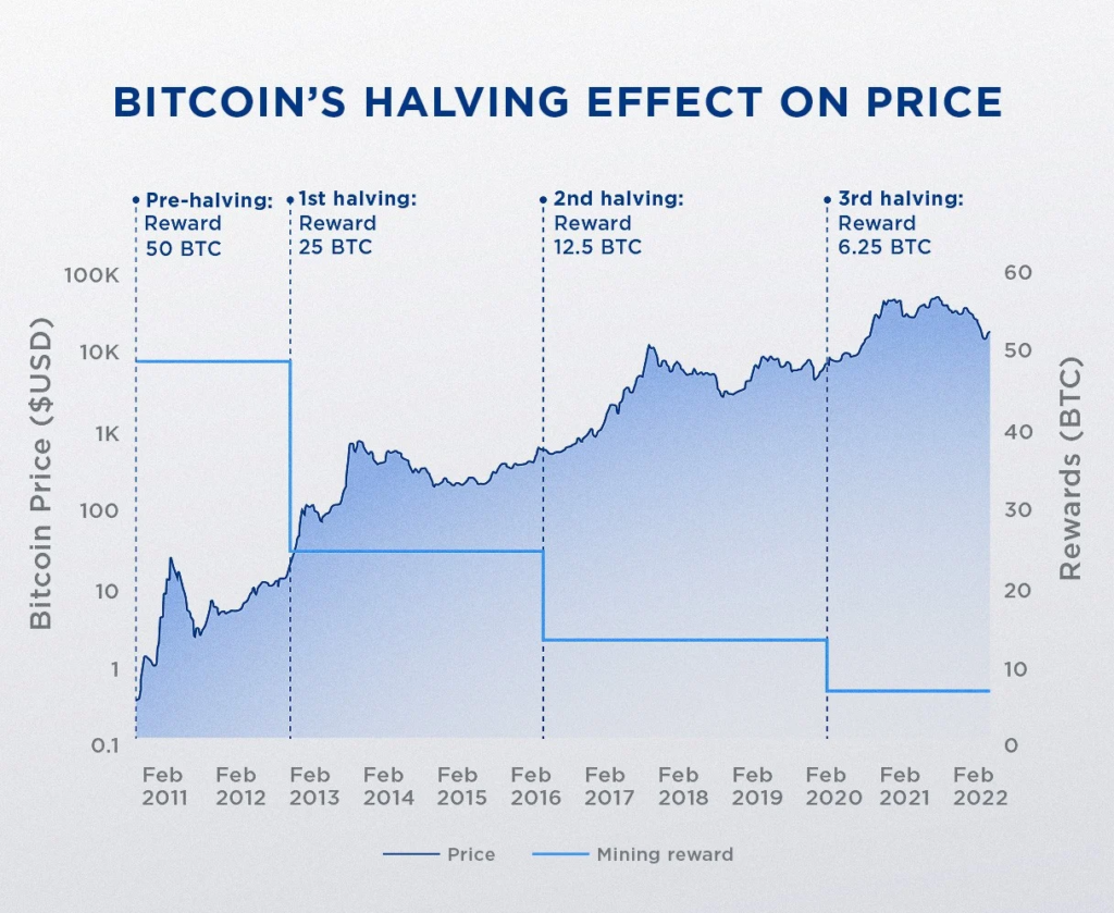 Halving Chart